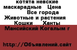 котята невские маскарадные › Цена ­ 18 000 - Все города Животные и растения » Кошки   . Ханты-Мансийский,Когалым г.